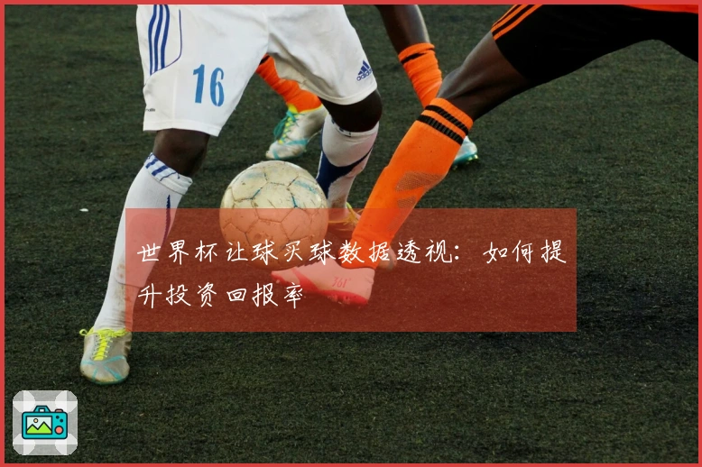 世界杯让球买球数据透视：如何提升投资回报率