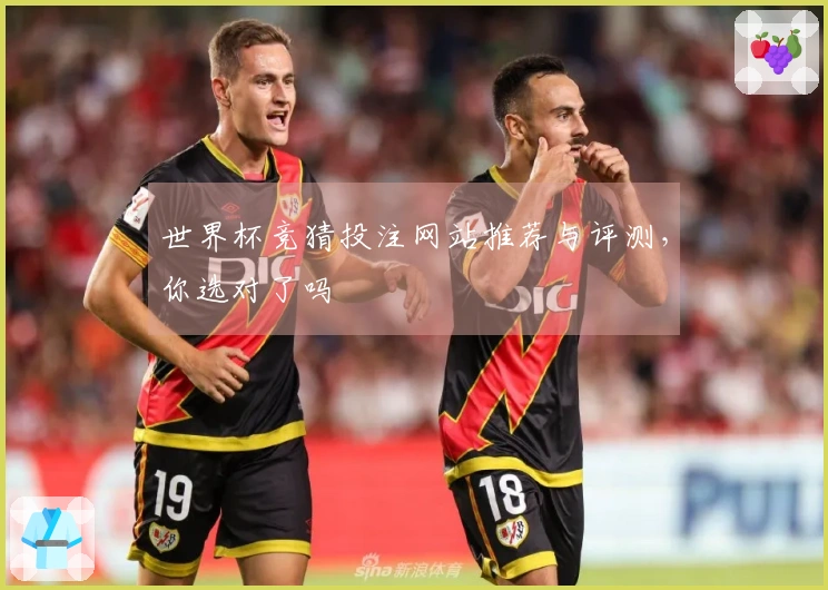 世界杯竞猜投注网站推荐与评测，你选对了吗