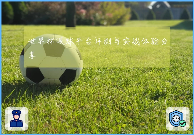 世界杯滚球平台评测与实战体验分享