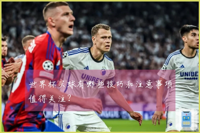世界杯买球有哪些技巧和注意事项值得关注？