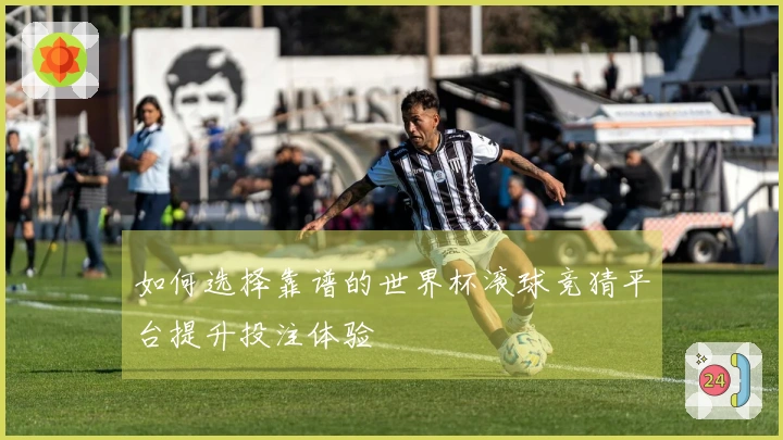 如何选择靠谱的世界杯滚球竞猜平台提升投注体验