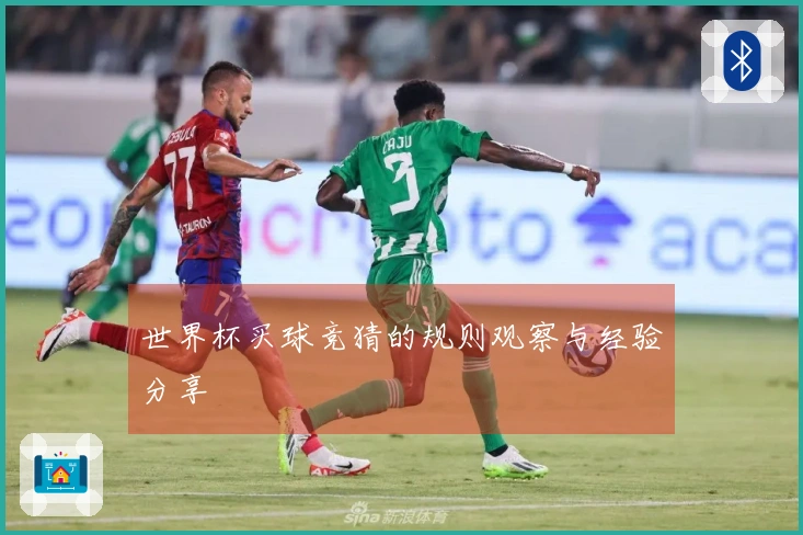 世界杯买球竞猜的规则观察与经验分享