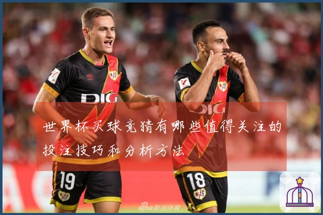 世界杯买球竞猜有哪些值得关注的投注技巧和分析方法