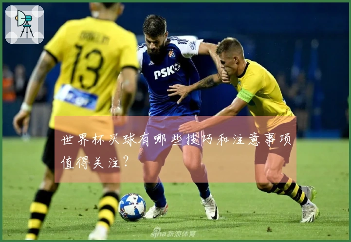 世界杯买球有哪些技巧和注意事项值得关注？